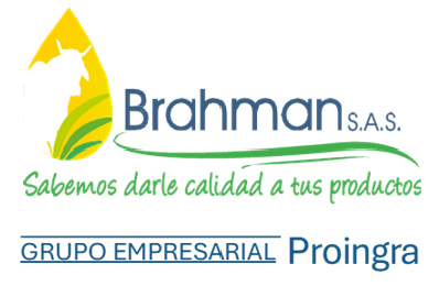 Brahman